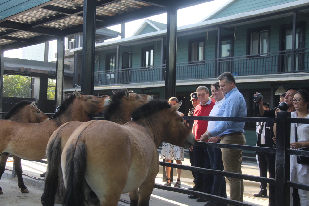 圖片關(guān)鍵詞