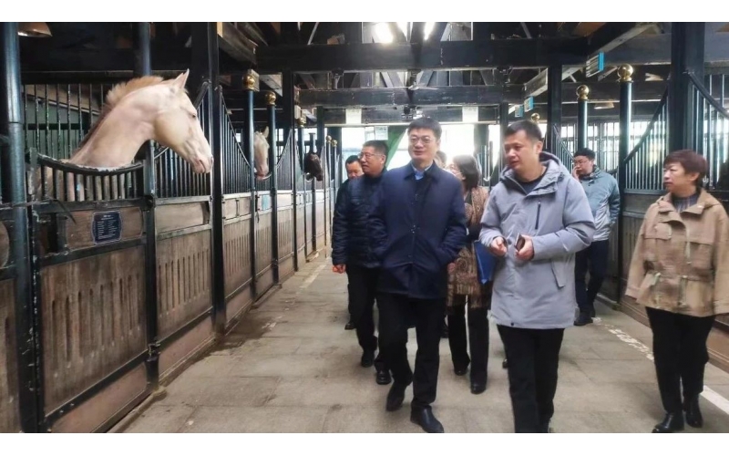 高雷副廳長(zhǎng)在野馬集團(tuán)調(diào)研時(shí)表示，要通過(guò)科技助力，精準(zhǔn)解決“卡脖子”問(wèn)題