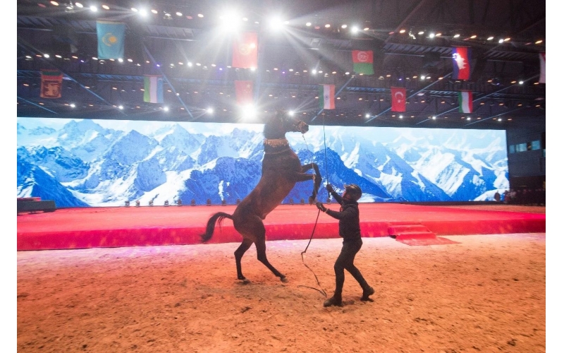 住馬酒店、吃馬肉腸、喝馬奶粉、品馬奶酒--